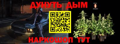 Альфа ПВП Кингисепп